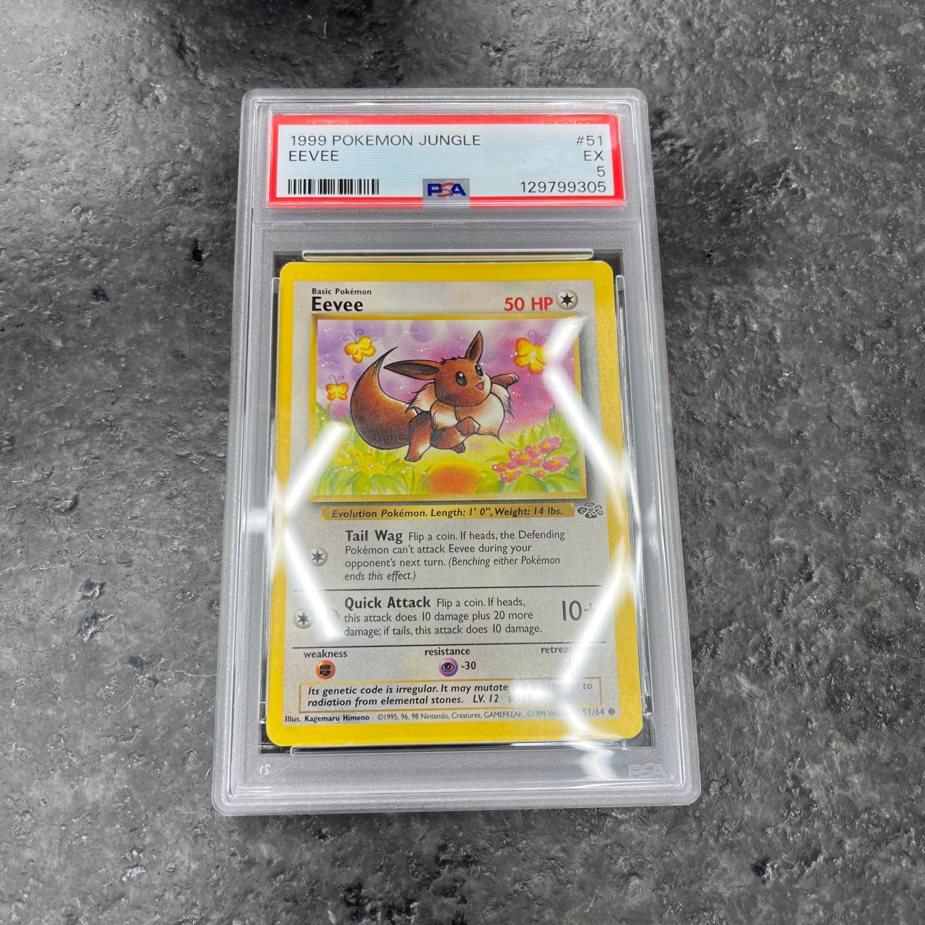 PSA 5 EEVEE POKEMON JUNGLE 51/64