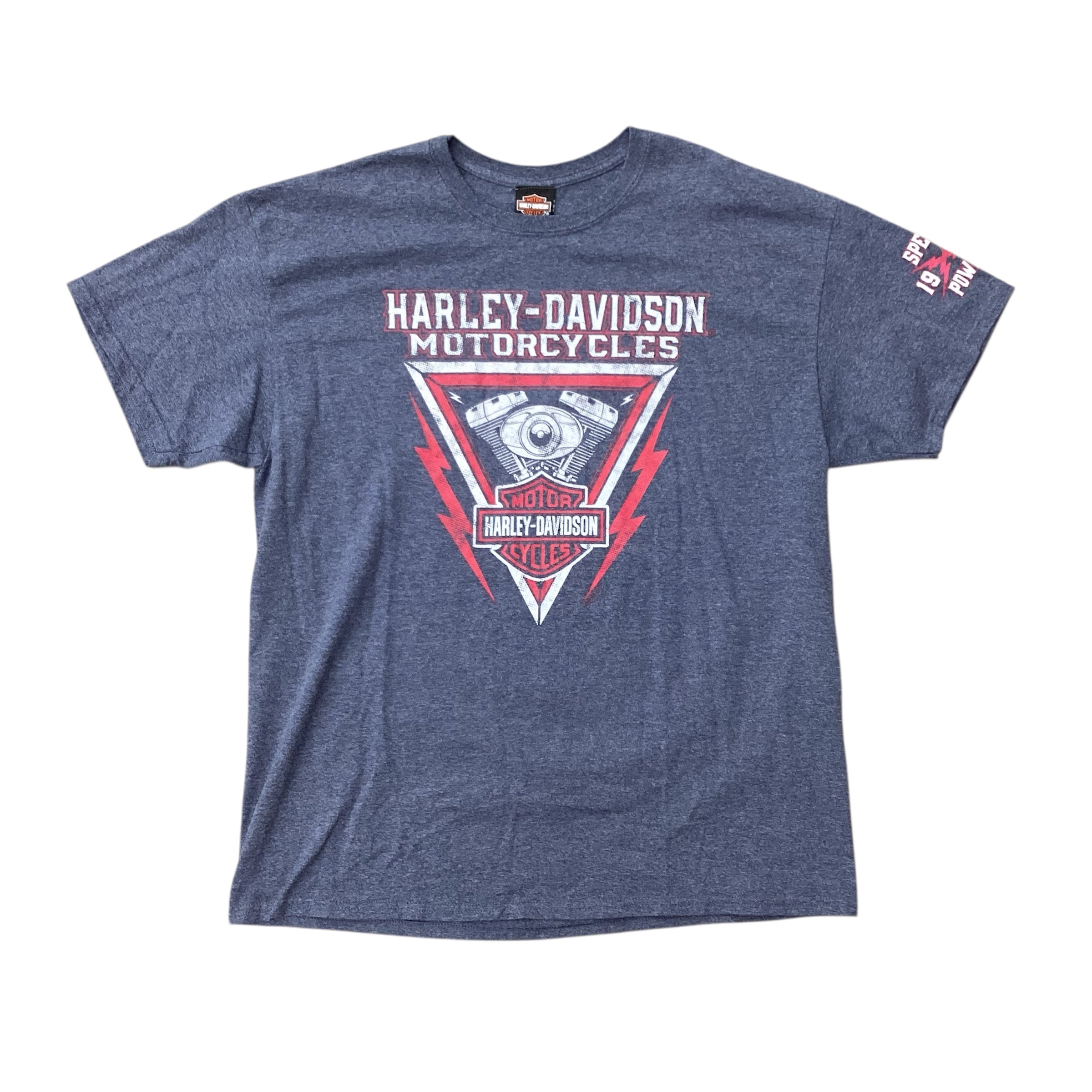 Y2K HARLEY DAVIDSON LAKE GENEVA  TEE