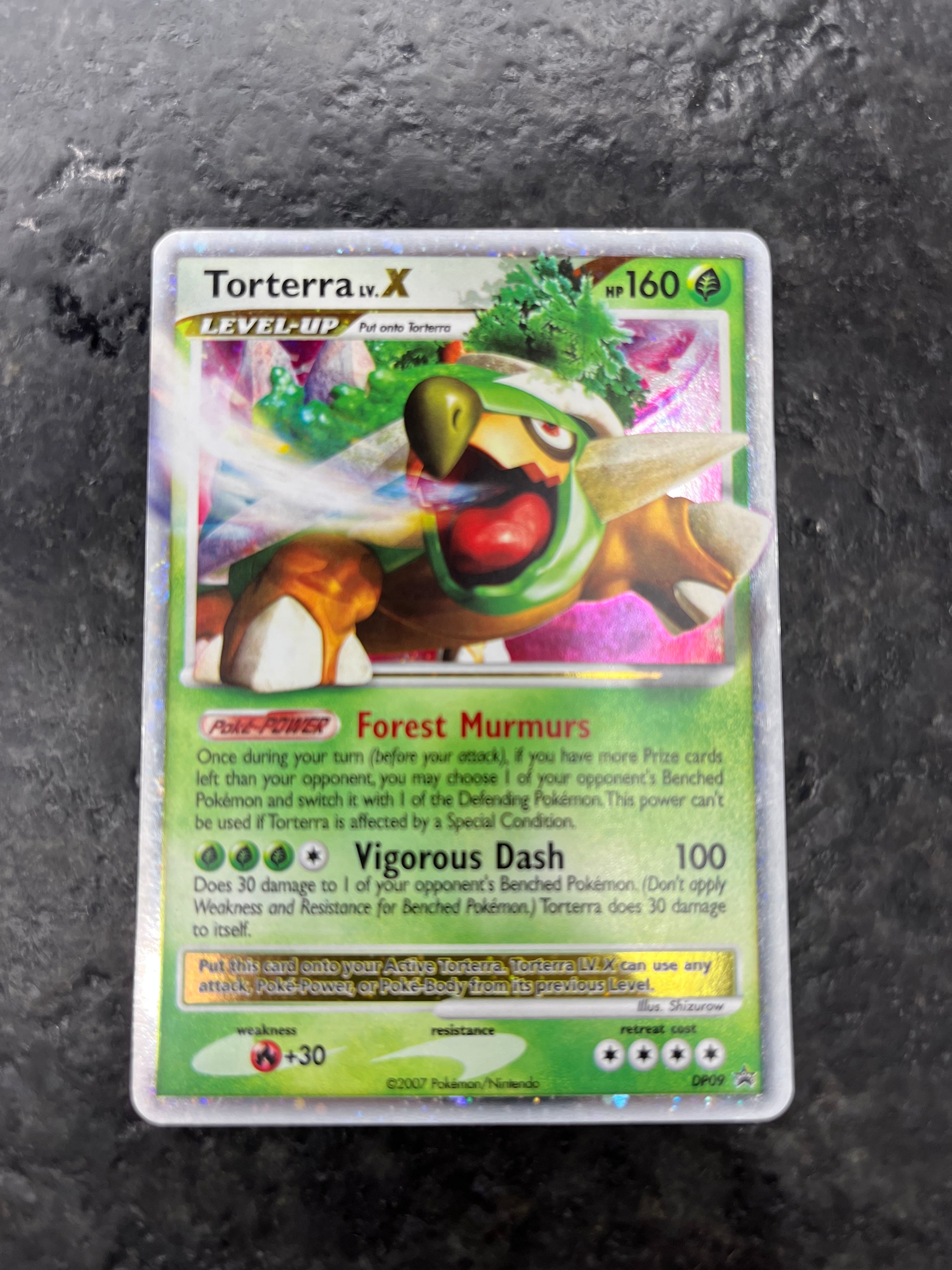 TORTERRA LV X PROMO DP09 (LP-MP)