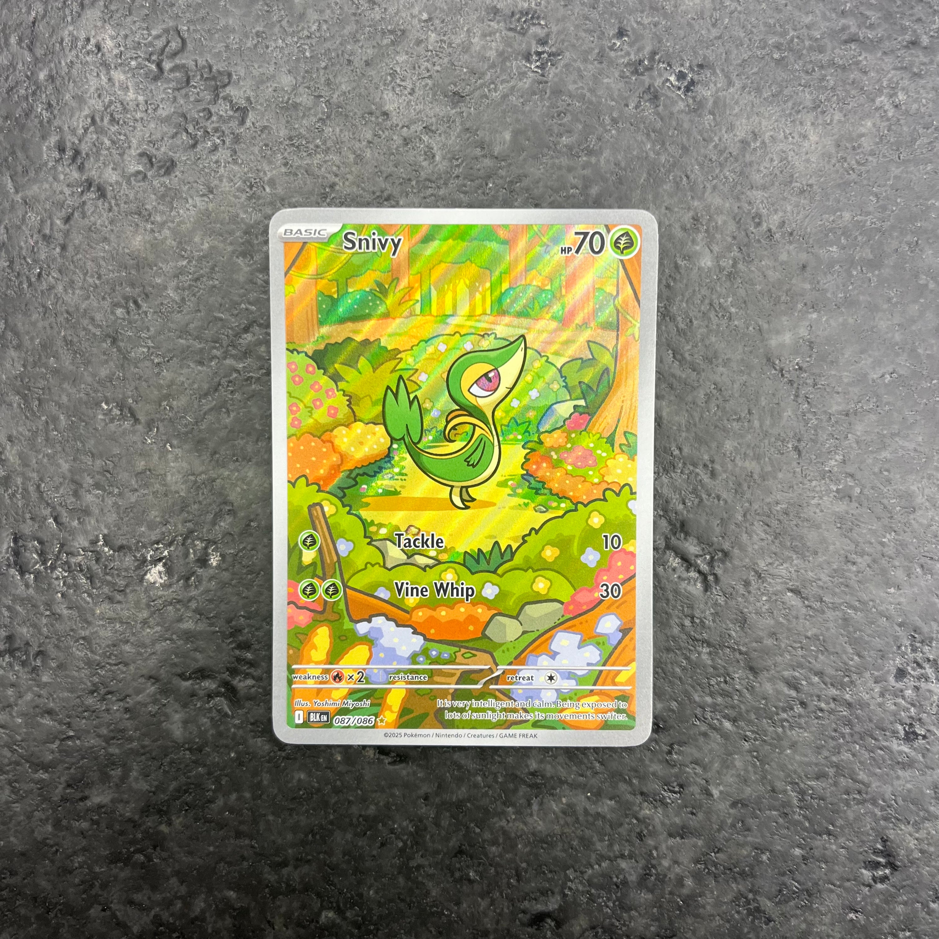 SNIVY ALT ART 087/086