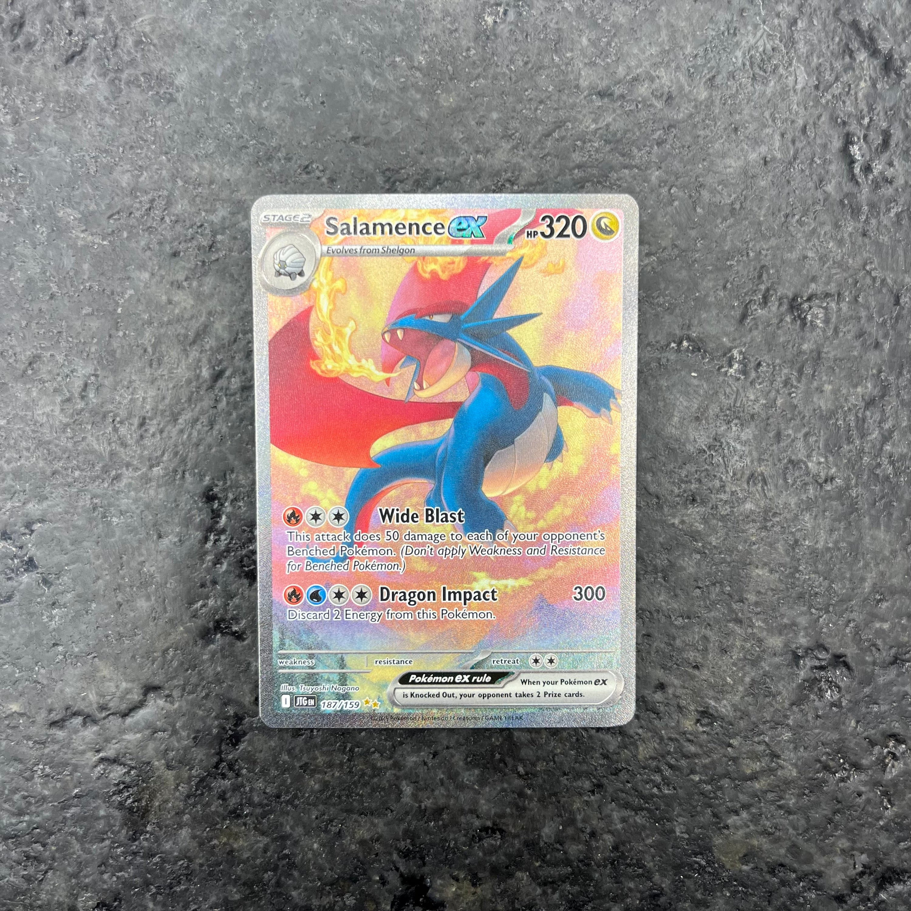 SALAMENCE EX JOURNEY TOGETHER SIR 187/159 (NM)