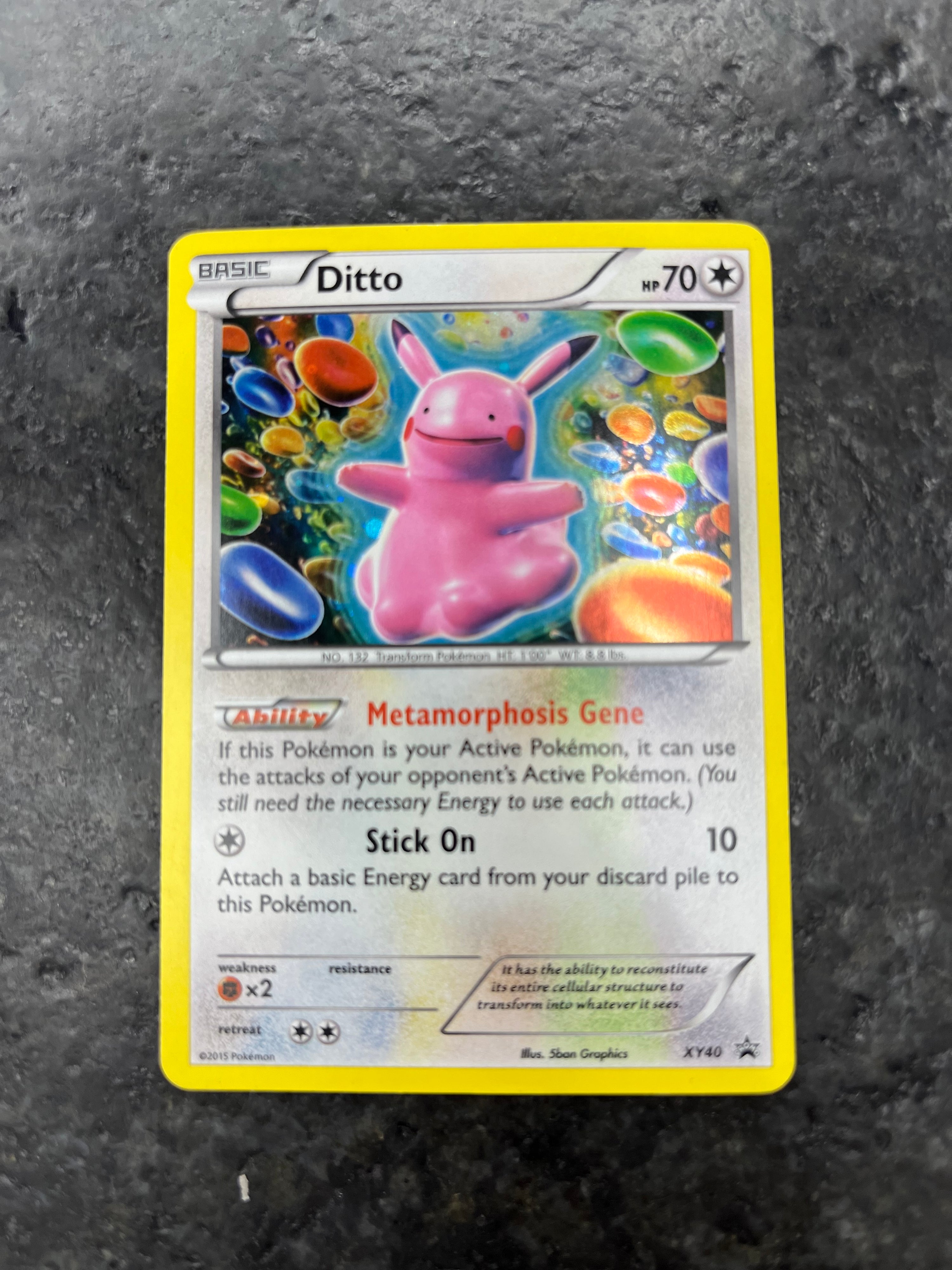 DITTO HOLO PROMO XY40 (LP)