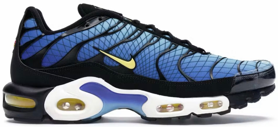 NIKE AIR MAX PLUS “GREEDY”